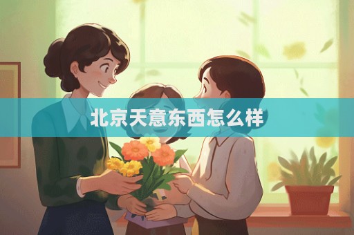 北京天意東西怎么樣