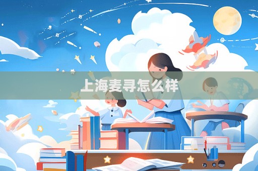 上海麥尋怎么樣