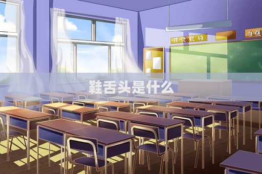 鞋舌頭是什么