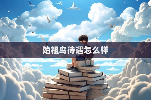 始祖鳥待遇怎么樣