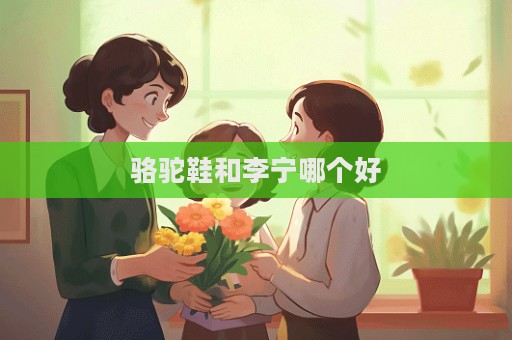駱駝鞋和李寧哪個好  第1張