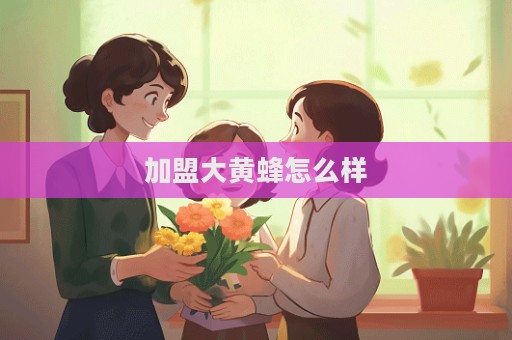 加盟大黃蜂怎么樣