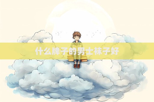 什么牌子的男士襪子好  第1張