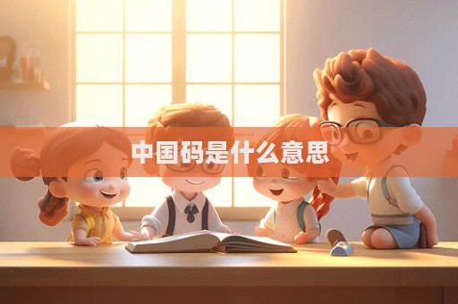 中國碼是什么意思