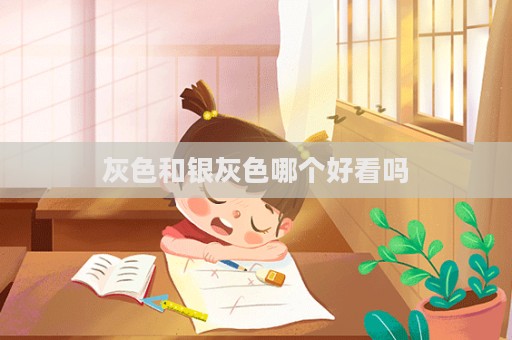 灰色和銀灰色哪個好看嗎