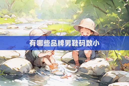 有哪些品牌男鞋碼數小  第1張