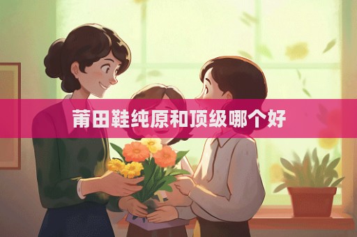 莆田鞋純?cè)晚敿?jí)哪個(gè)好