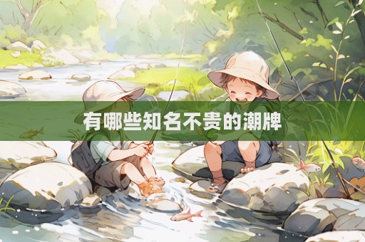 有哪些知名不貴的潮牌