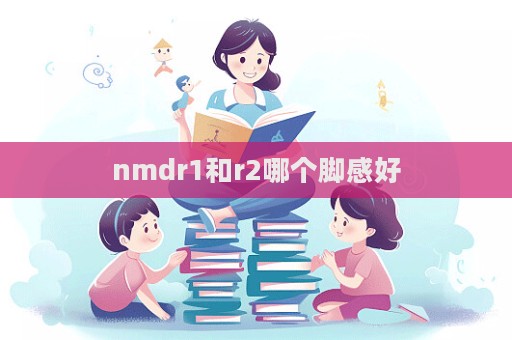 nmdr1和r2哪個腳感好