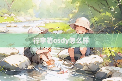 行李箱osdy怎么樣