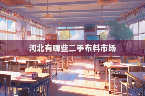 河北有哪些二手布料市場