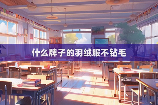 什么牌子的羽絨服不鉆毛