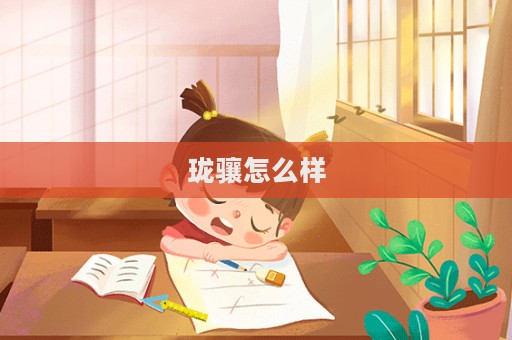 瓏驤怎么樣  第1張