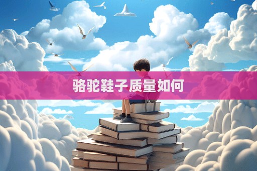 駱駝鞋子質量如何