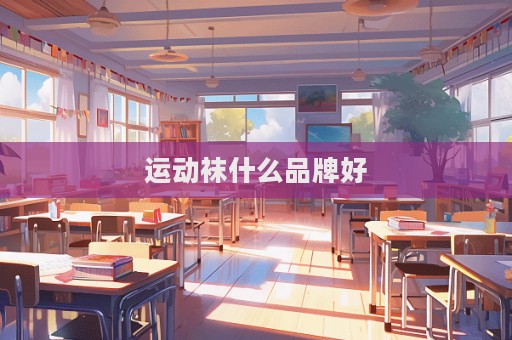 運動襪什么品牌好