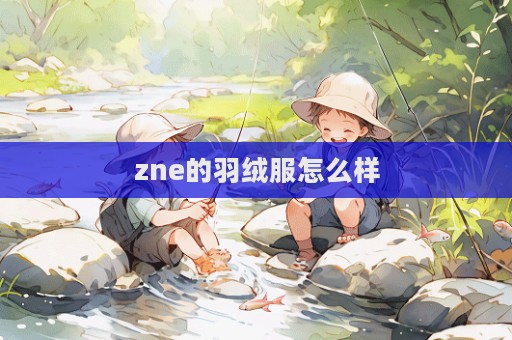 zne的羽絨服怎么樣  第1張