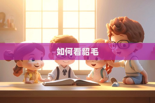 如何看貂毛