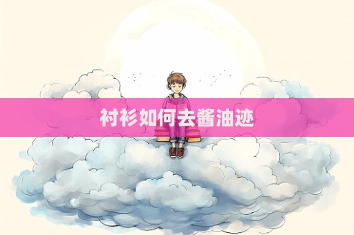 襯衫如何去醬油跡  第1張