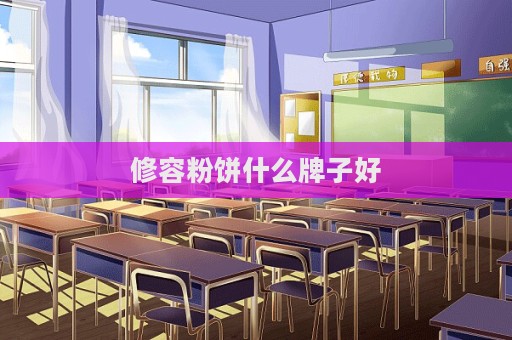修容粉餅什么牌子好  第1張