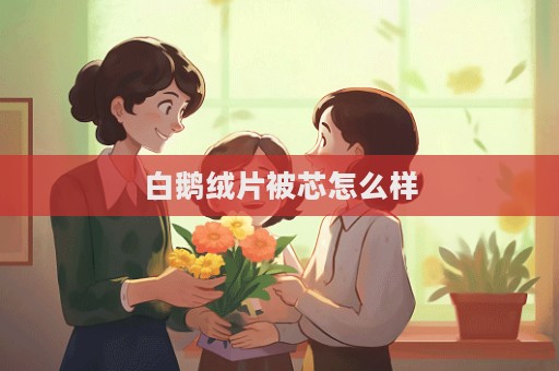 白鵝絨片被芯怎么樣
