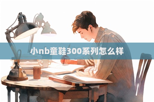 小nb童鞋300系列怎么樣  第1張