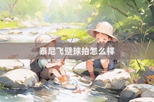 泰尼飛壁球拍怎么樣