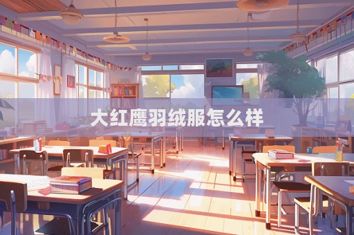 大紅鷹羽絨服怎么樣