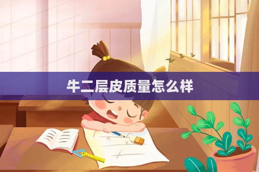 牛二層皮質量怎么樣