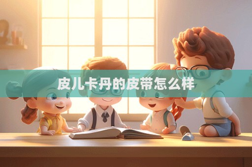 皮兒卡丹的皮帶怎么樣