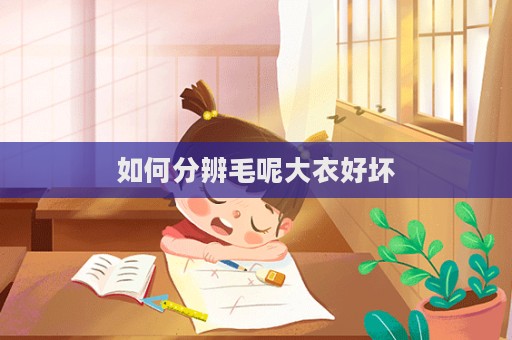 如何分辨毛呢大衣好壞  第1張