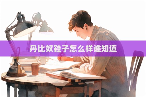 丹比奴鞋子怎么樣誰(shuí)知道  第1張