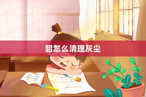 貂怎么清理灰塵