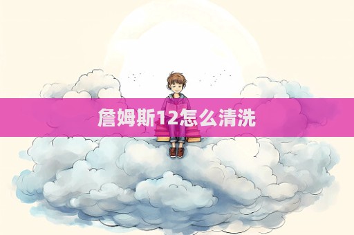 詹姆斯12怎么清洗  第1張