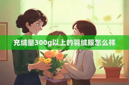 充絨量300g以上的羽絨服怎么樣  第1張