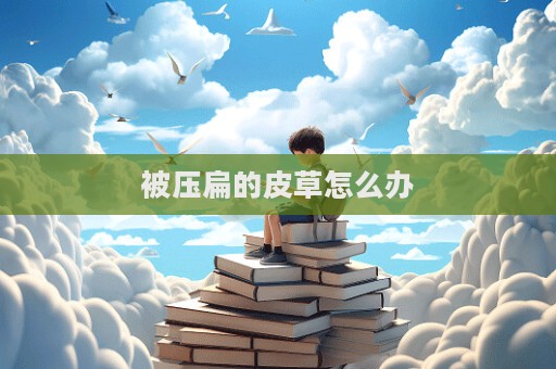 被壓扁的皮草怎么辦  第1張