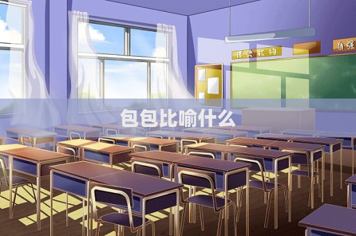包包比喻什么