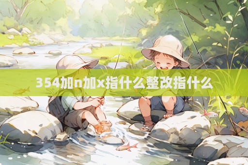 354加n加x指什么整改指什么