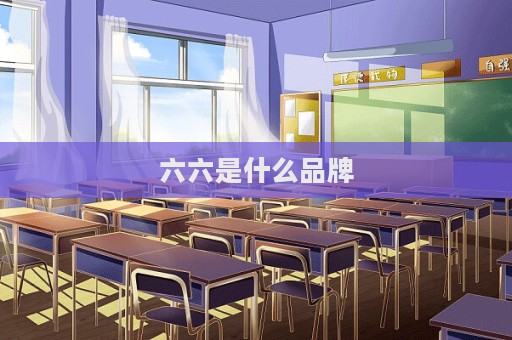 六六是什么品牌
