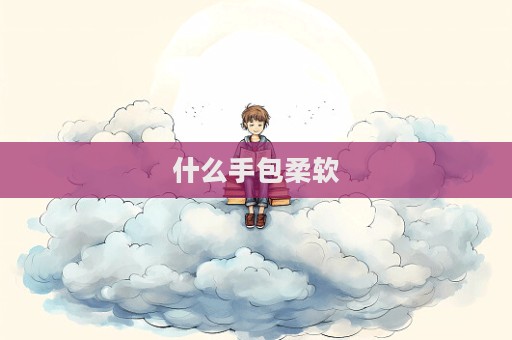 什么手包柔軟  第1張
