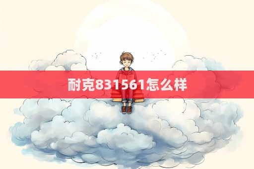 耐克831561怎么樣