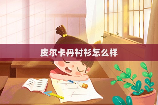 皮爾卡丹襯衫怎么樣  第1張