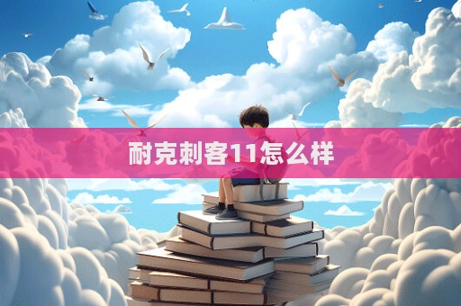 耐克刺客11怎么樣  第1張