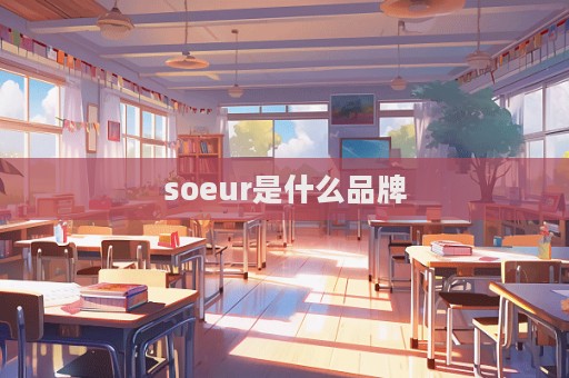 soeur是什么品牌