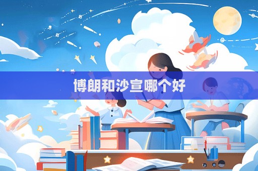 博朗和沙宣哪個好