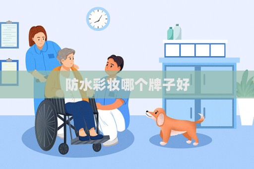 防水彩妝哪個(gè)牌子好