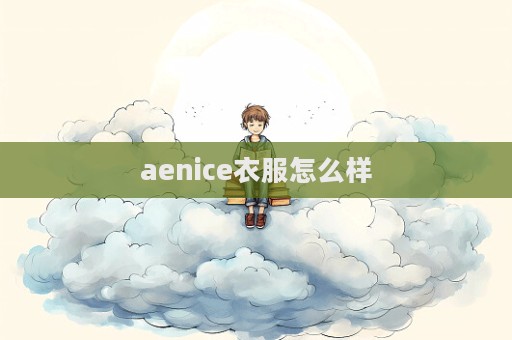 aenice衣服怎么樣