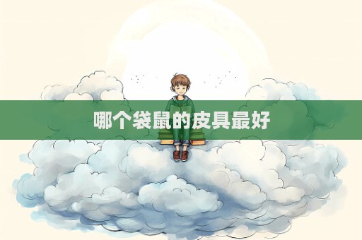 哪個袋鼠的皮具最好