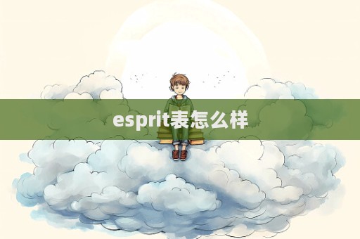 esprit表怎么樣
