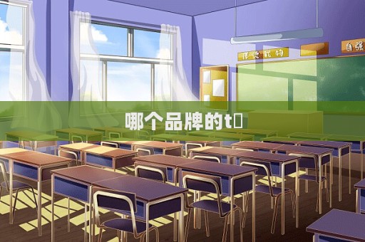 哪個品牌的t桖