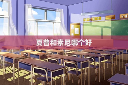 夏普和索尼哪個好